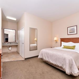 Queen Suite Roll Shower Disability Access